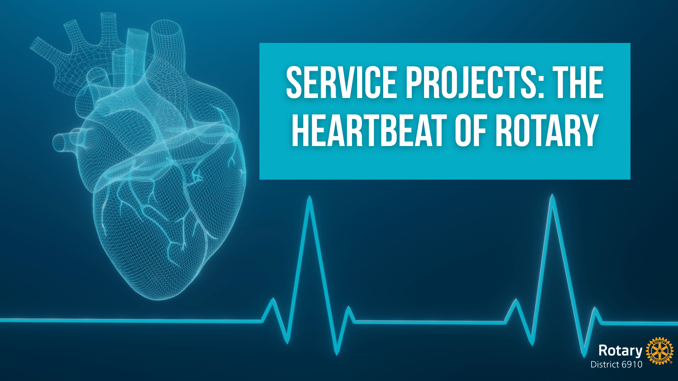 Service Projects: The heartbeat of Rotary