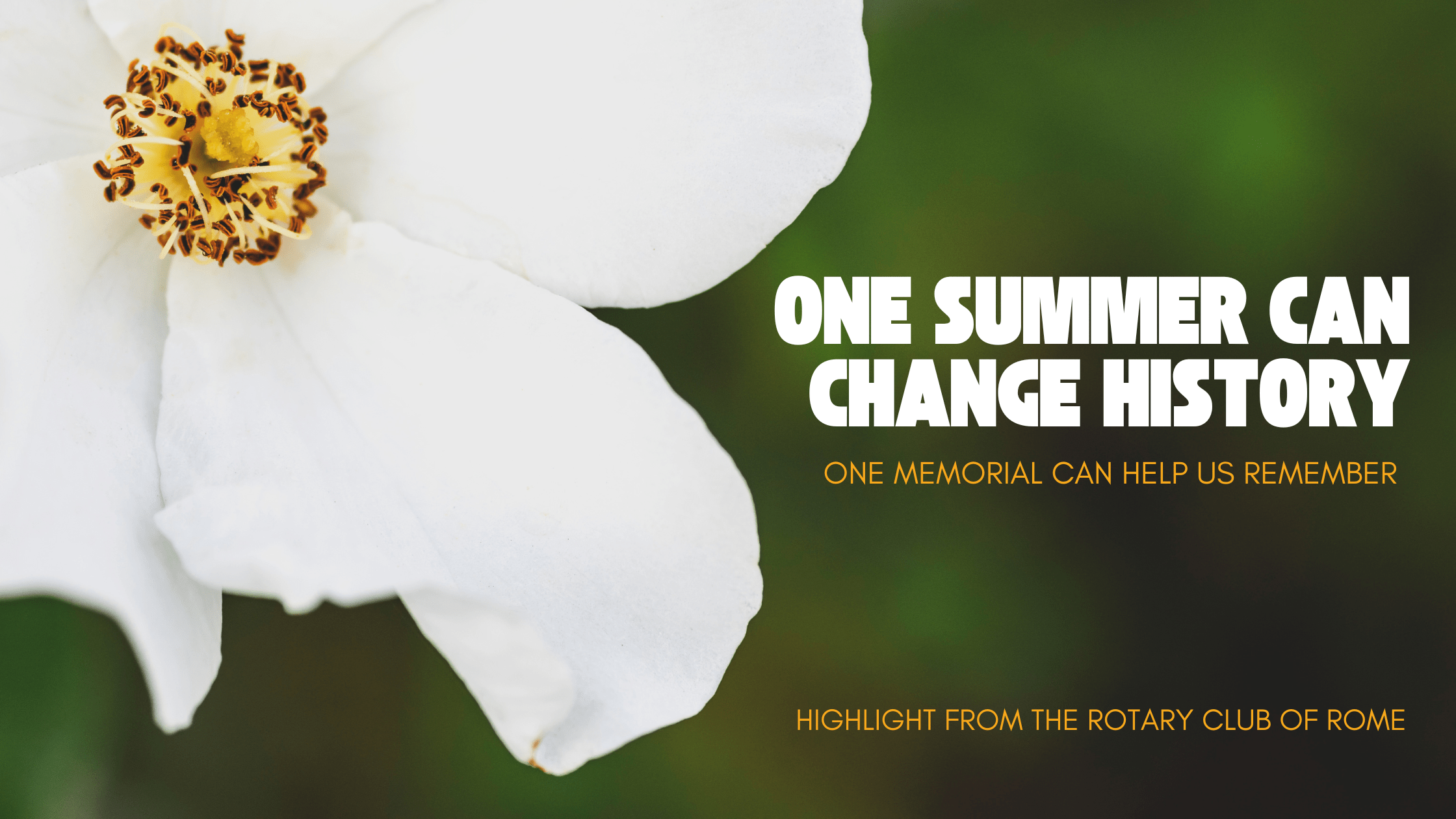 One Summer Can Change History. One Memorial Can Help Us Remember.